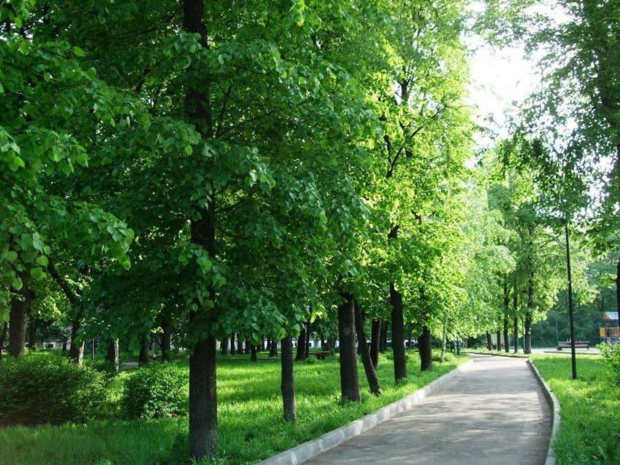 сквер