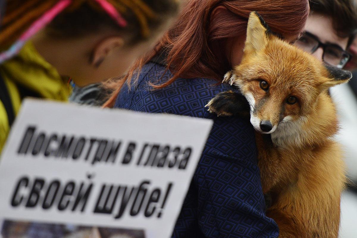 Акция против меха