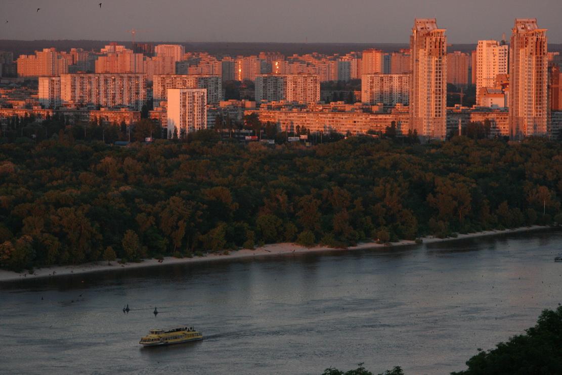 деревья, зеленая зона