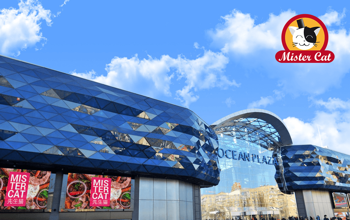 Новая пиццерия Mister Cat в Ocean Plaza: что нужно знать?