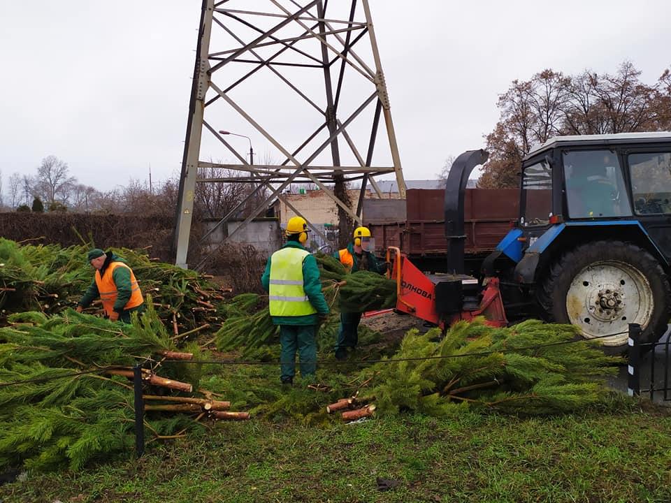 утилизация елок