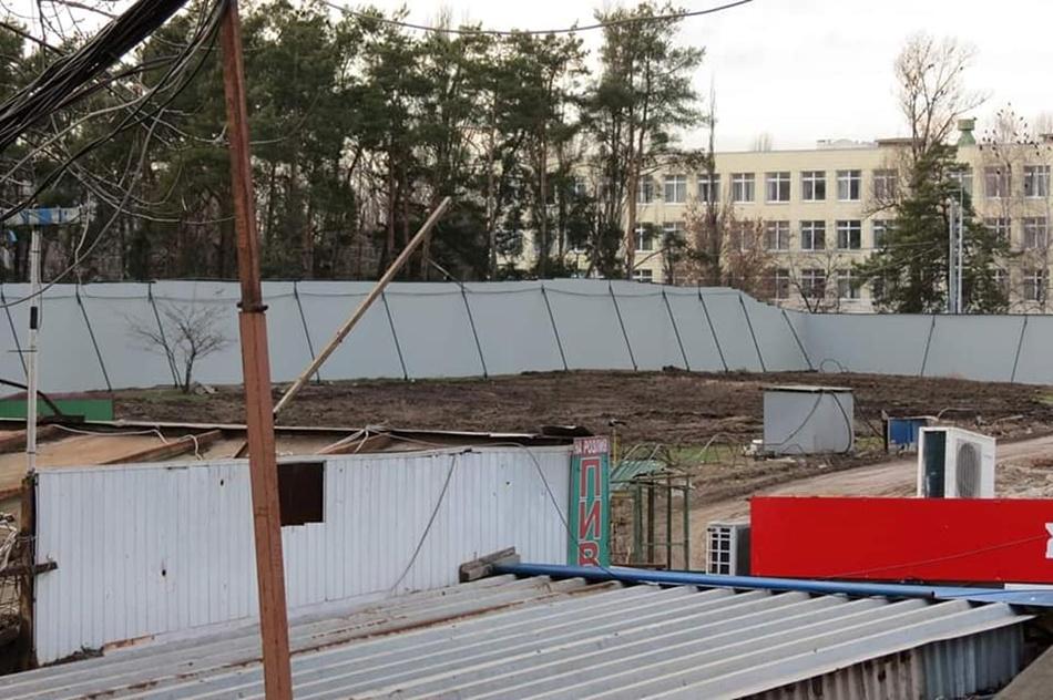 парк киото, вырубка деревьев