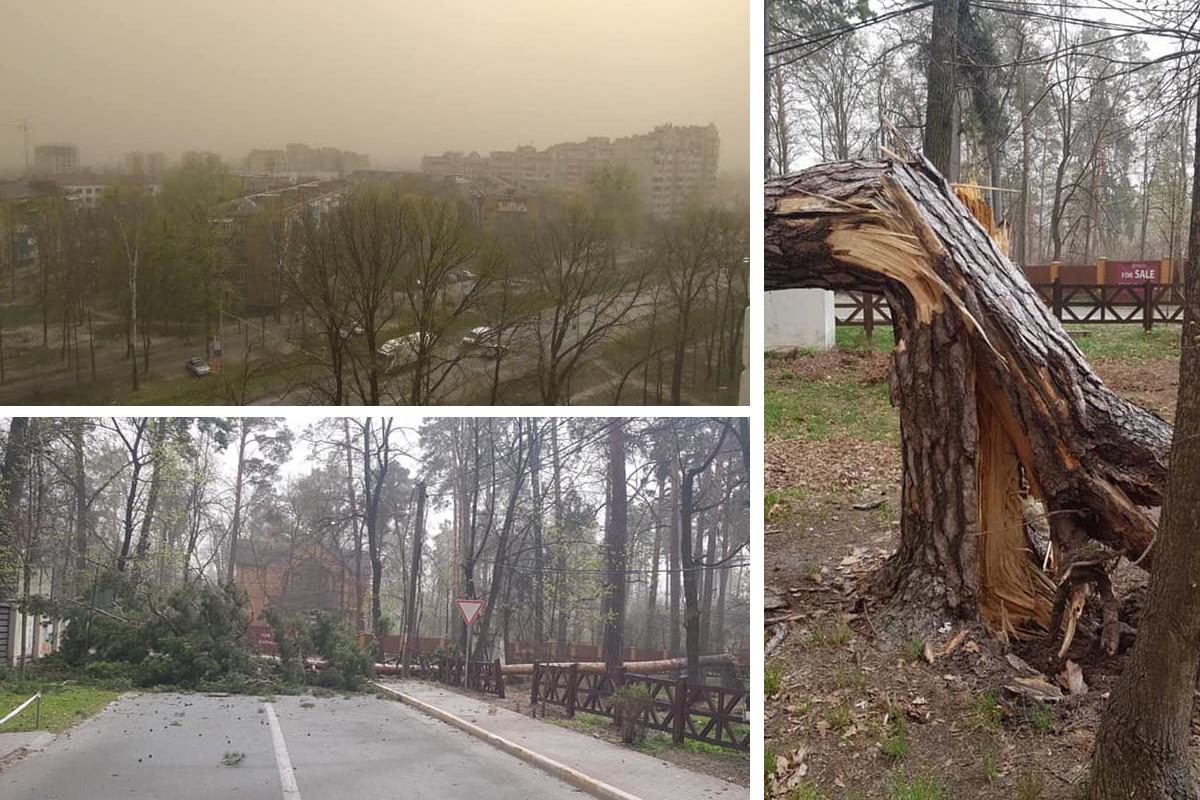 Повалені дерева та нема світла. Буря у Бучі
