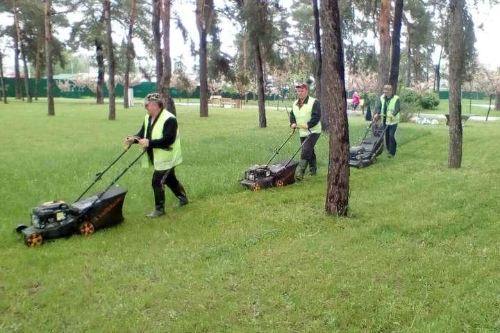 Кияни просять припинити повсюдно скошувати траву