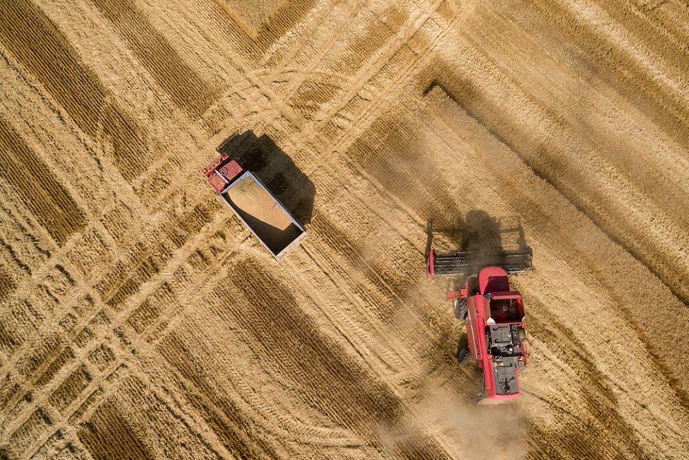 Київщина відкриє науковий парк Unit Agro. Що він дасть регіону