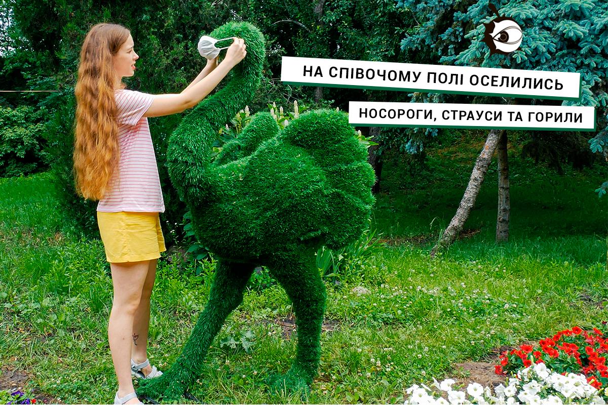 На Співочому полі оселились носороги, страуси та горили. Перший репортаж з “Квіткового сафарі”