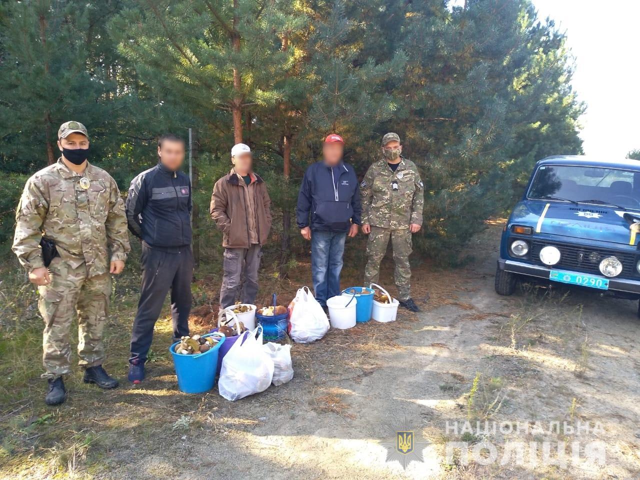 Грибочків отруєних не бажаєте? Із зони ЧАЕС намагались вивезти 70 кг радіаційних грибів