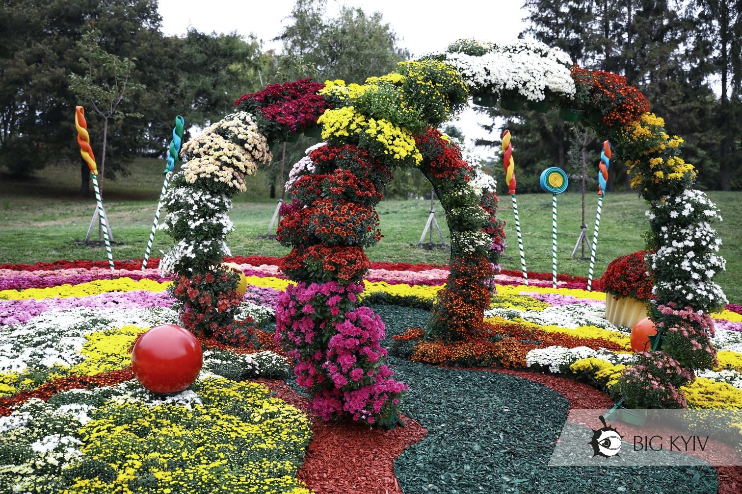 Выставка хризантем