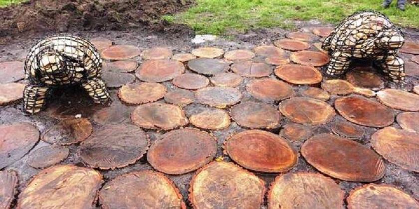 Черепашкам на Березняках облаштували екологічну зону