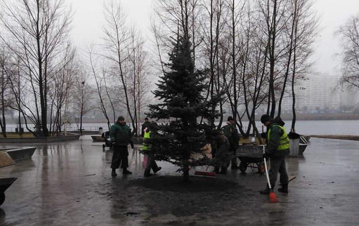 Подарунок до свят: у центрі фітнес-парку “Озеро Лебедине” висадили ялинку
