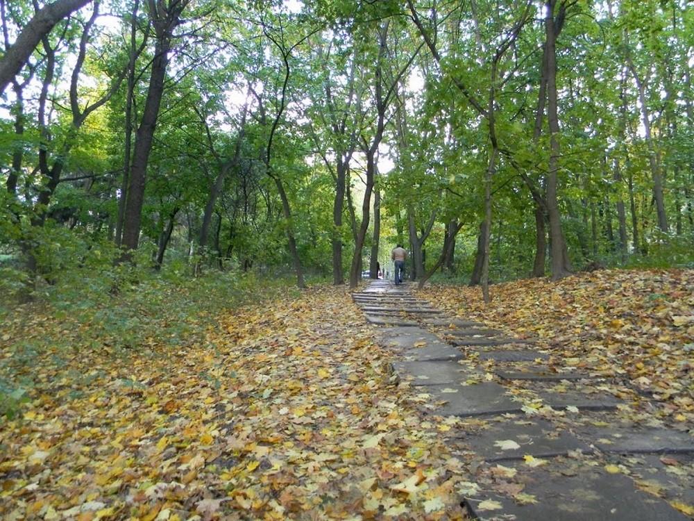 Прокуратура вимагає повернути парку-пам’ятці “Нивки” ділянку вартістю 17 млн грн
