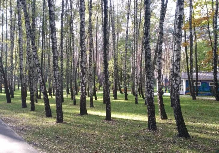Зрада дня. Приватна особа продає під забудову ділянку в парку “Совки”