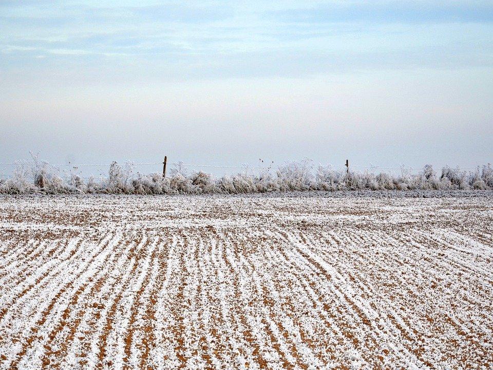 Земля на Київщині – одна з найдешевших. Так порахували у Держгеокадастрі