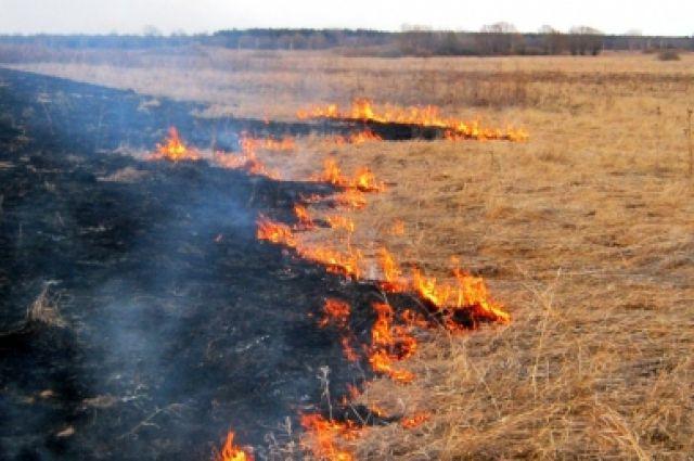 Палити суху траву тепер стало дорого: деталі закону