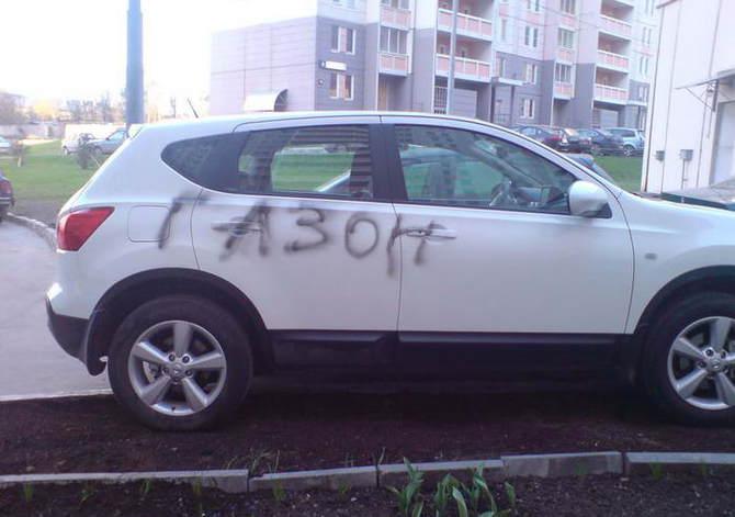 На Березняках є свої лосі на газонах, які гадять там, де живуть