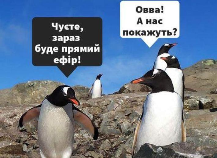 Українським полярникам можна поставити питання в прямому ефірі