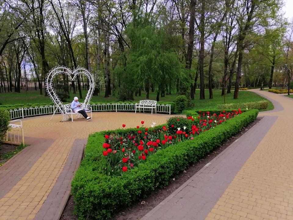 Обстеження на вибухівку: в яких київських парках вже можна спокійно гуляти
