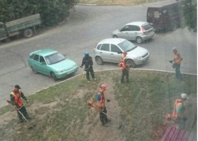 Кияни просять припинити всюди нищити траву