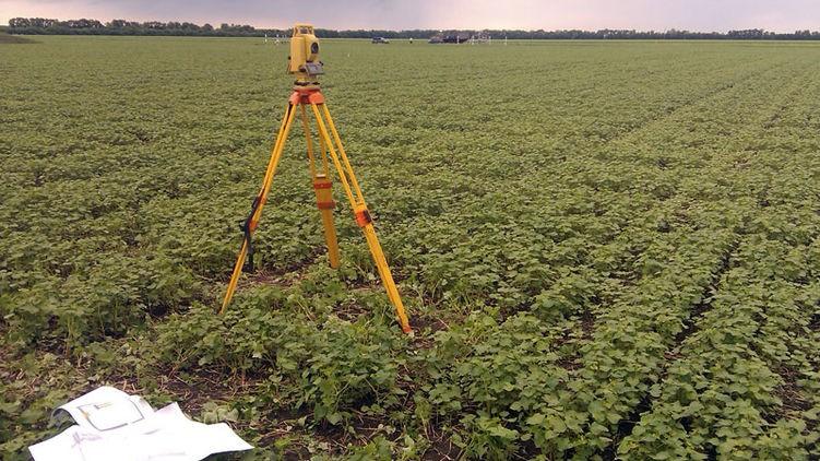 Законні і недосяжні. Не всі українці можуть отримати свої 2 га землі: деталі