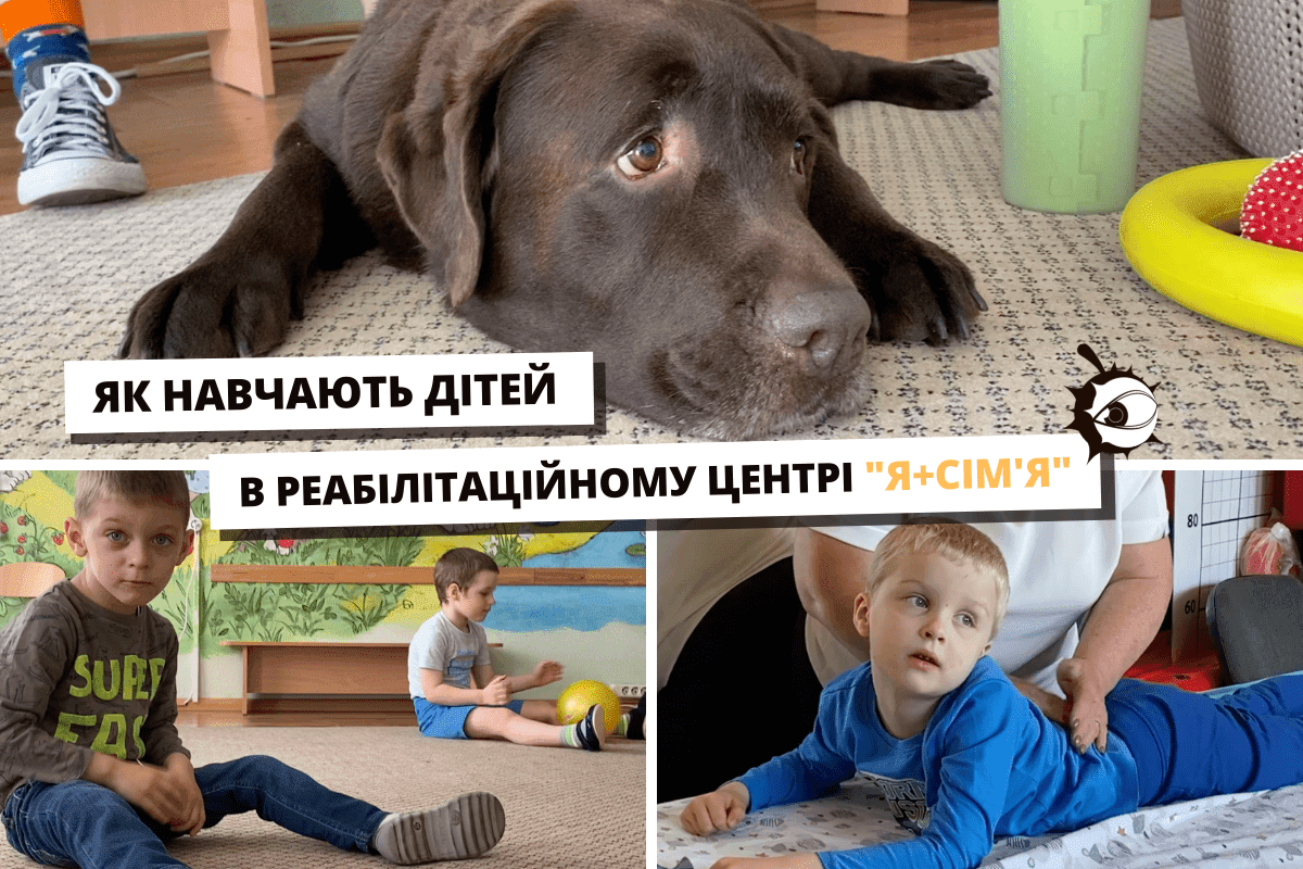 Вчитель-лабрадор: як навчають дітей у столичному реабілітаційному центрі «Я+Сім’я»