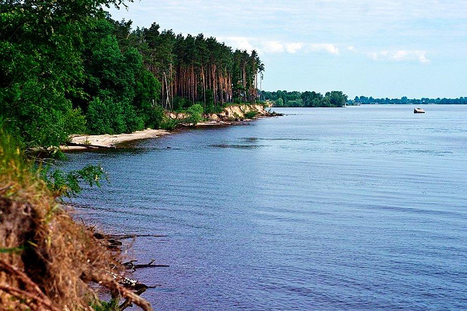 Ціла Санта-Барбара: у Київському морі врятували 10-річну дівчинку, яка вистрибнула з човна за 4 км від берега