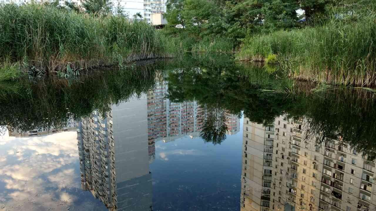 Кожне третє озеро в Києві частково забудовано, на кожне друге здійснювали замах забудовники – екологи