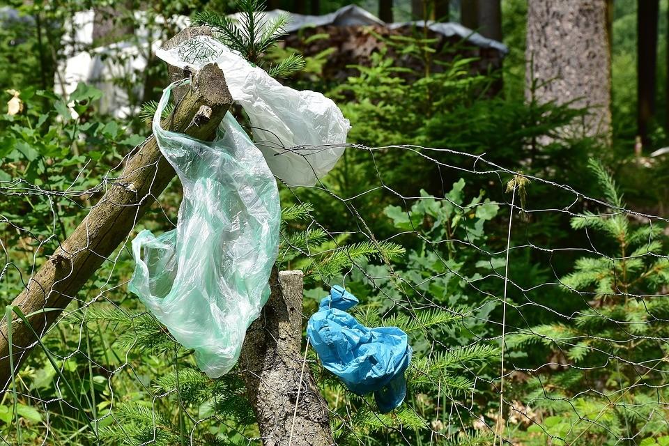 На Київщині побудують підприємство з переробки твердих побутових відходів і сміття