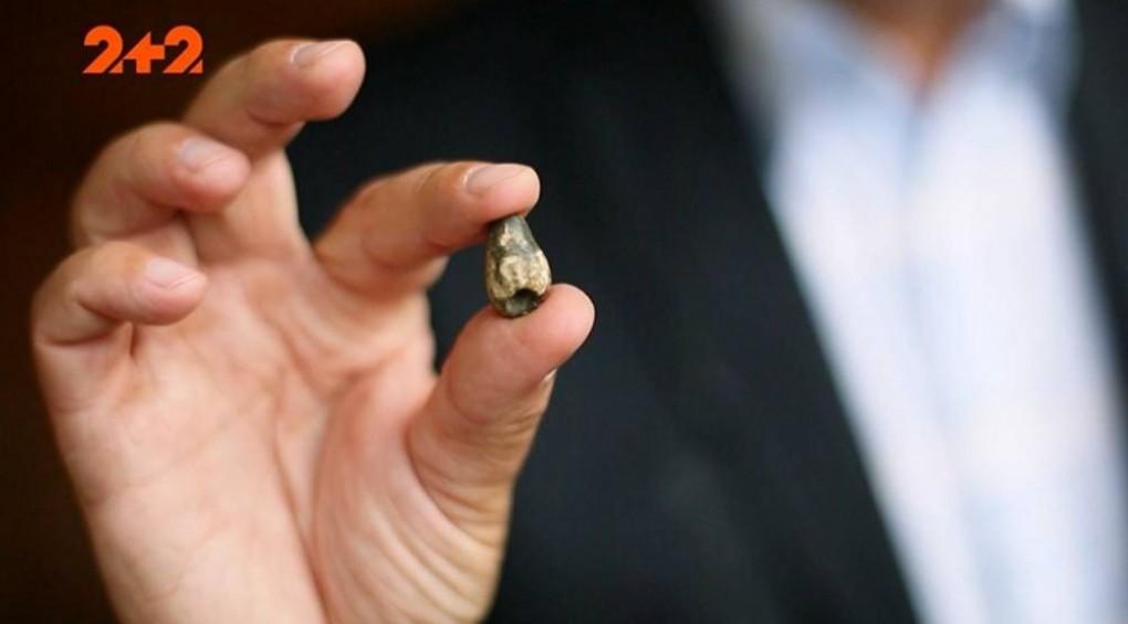 У кар’єрі на Київщині відкопали кістки і зуб динозавра: подробиці