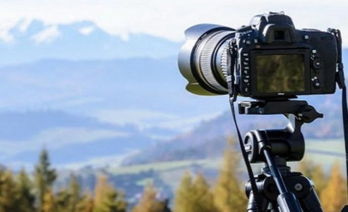 Фотоконкурс “Вікі любить Землю – 2021”: названо найкращі фото у спецномінаціях для Києва