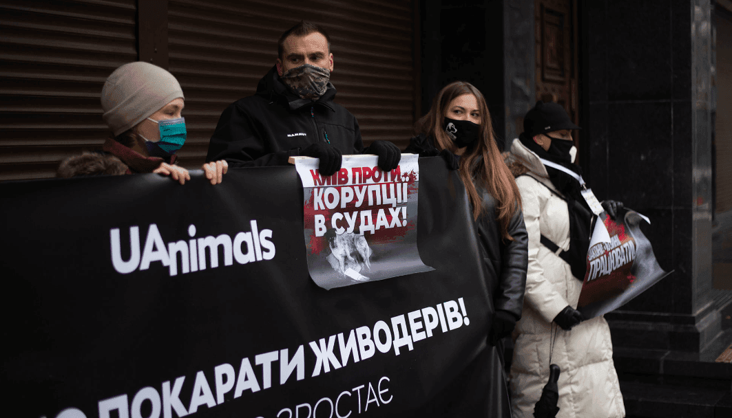 Виправдання догхантера Святогора: зоозахисники пікетували Офіс генпрокурора (ФОТО)