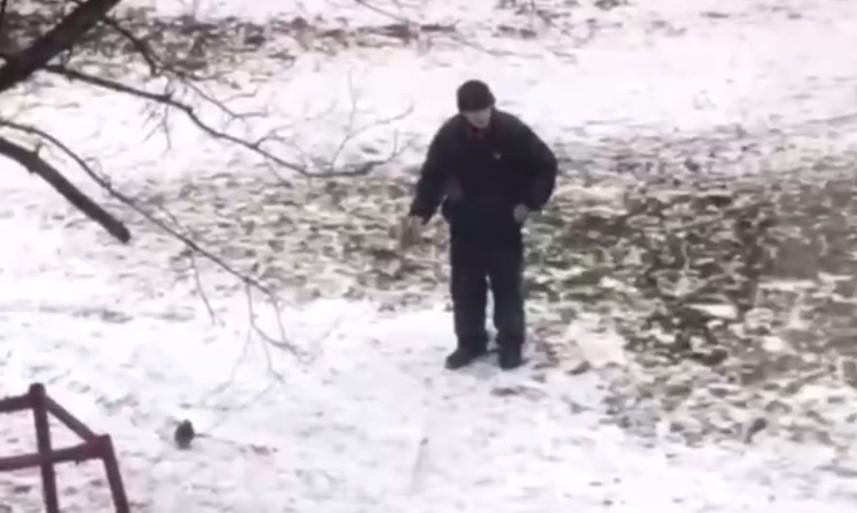 Відео дня. Чоловік вигулює голуба на повідку