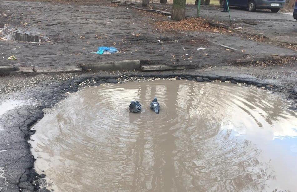 У дворі біля парку “Орлятко” з’явилося нове “озеро” (ФОТО)