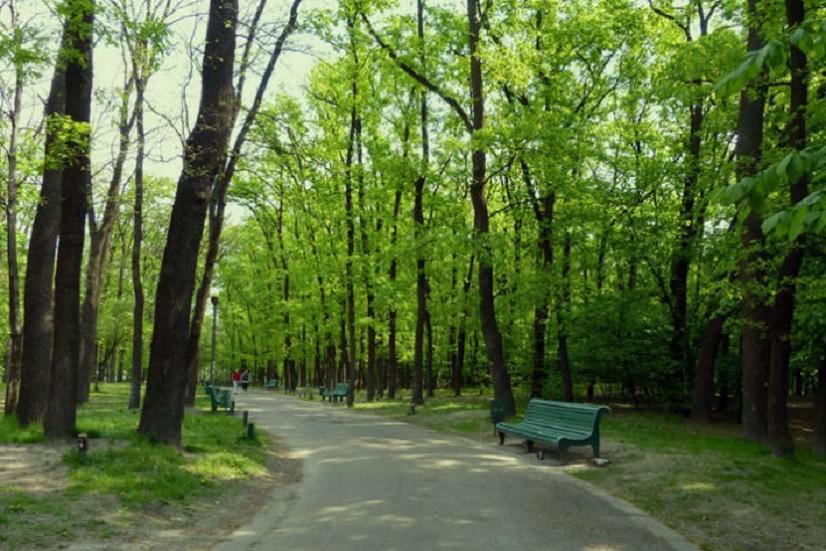 У Києві заборонили відвідувати лісопаркові зони через пожежну небезпеку — КМДА