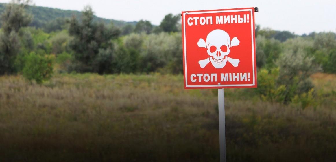 Третину українських полів не засіють через війну