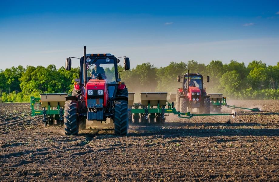 На Київщині засіяно 95,9 % запланованих територій