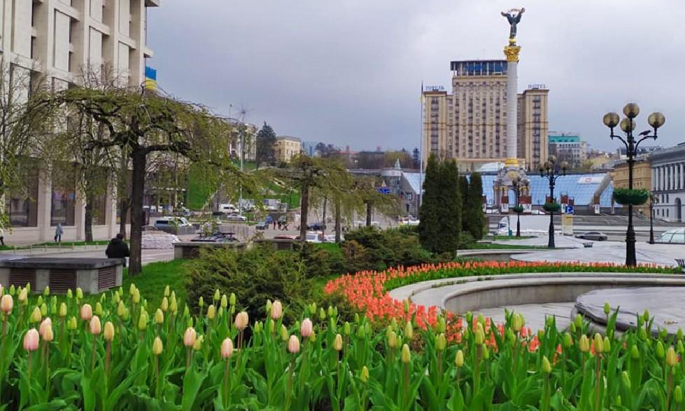Центр Києва “заполонили” тисячі тюльпанів (ФОТО)
