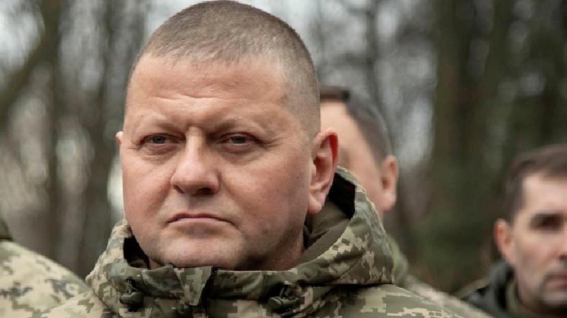 Футболку з підписом Залужного виставили на аукціон — зібрані кошти підуть ЗСУ
