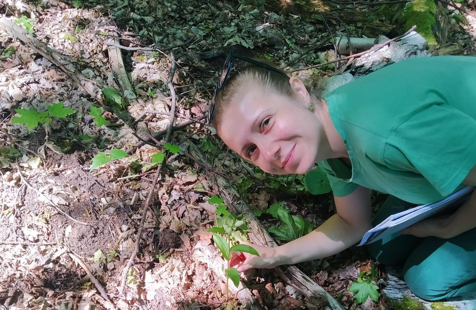 На Київщині виявили віковий ліс, де не ступала нога людини і ростуть унікальні орхідеї