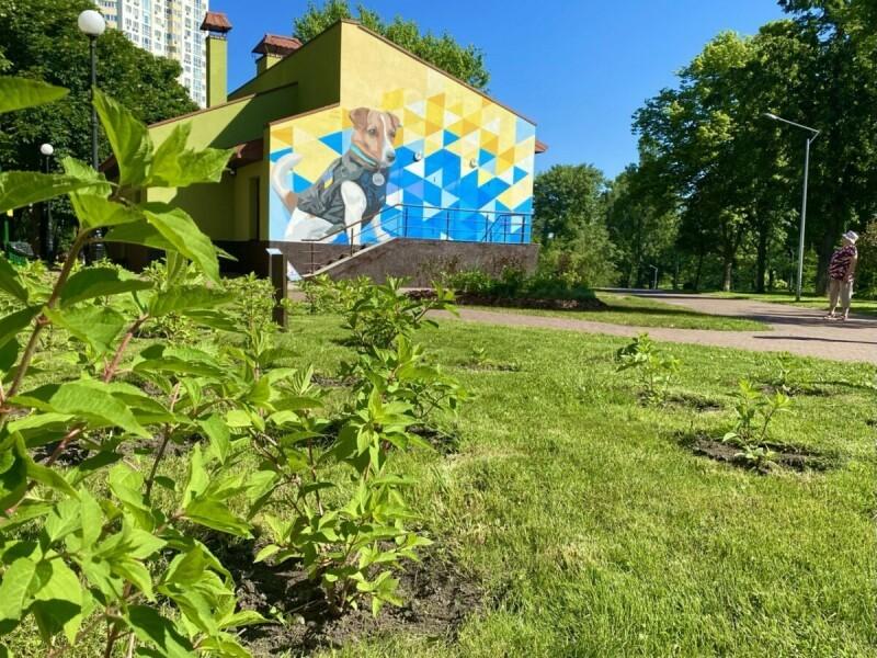 Патрон мурал Відрадний
