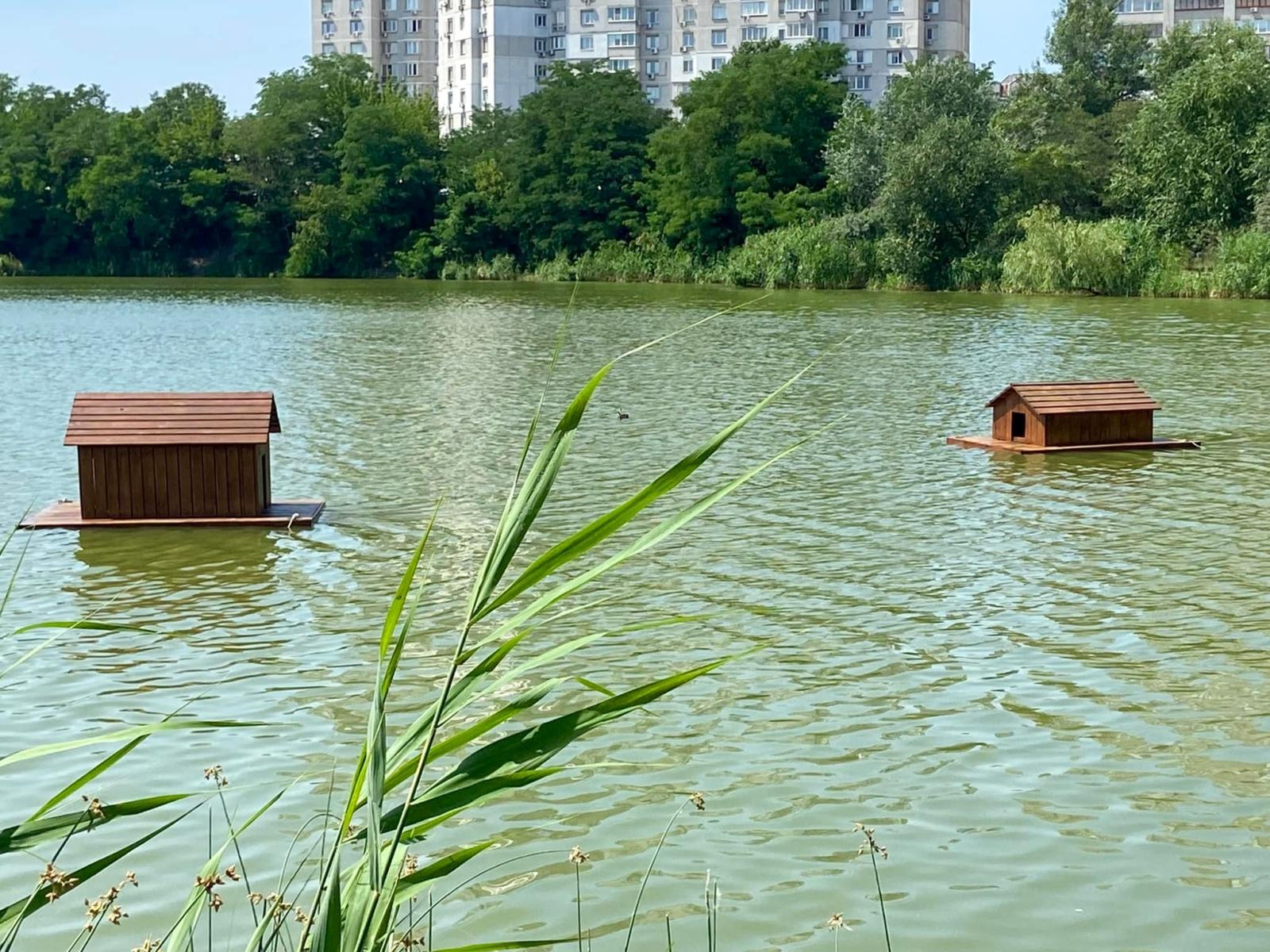 На озеро Лебедине повернулись качині будиночки – фото
