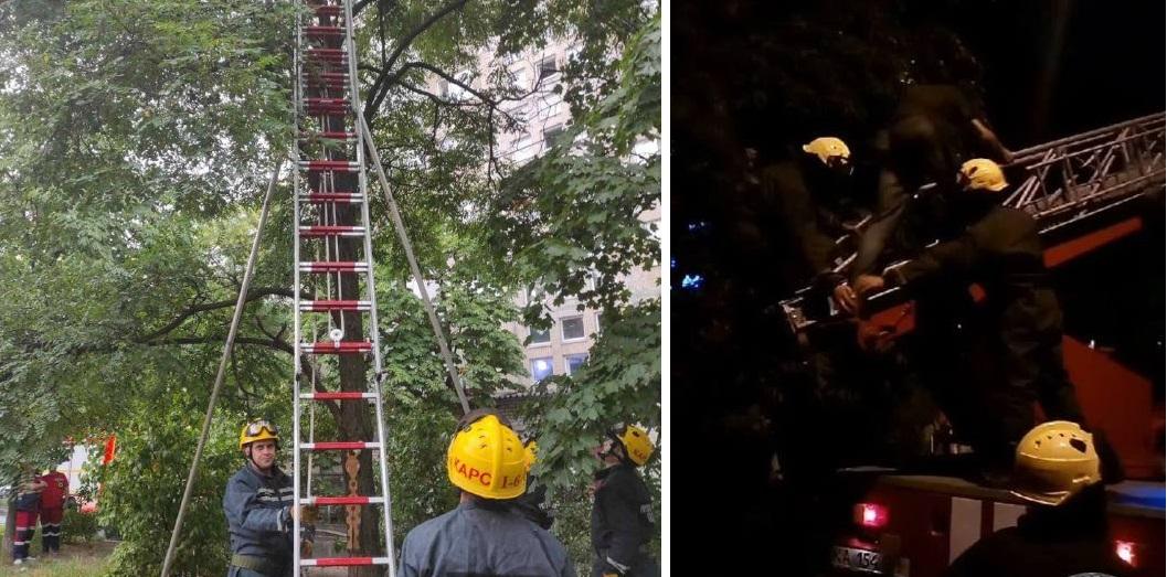 Рятувальники кілька годин намагались зняти з дерева чоловіка “під кайфом”