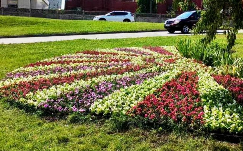 Біля метро “Лівобережна” висадили квіткове панно в вигляді сонця
