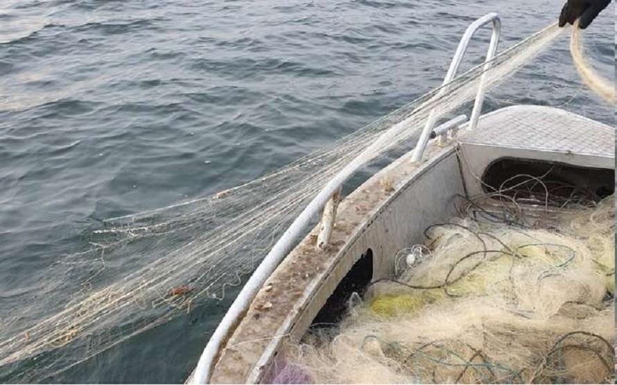 На Київщині рибпатульні виявили браконьєрські сітки