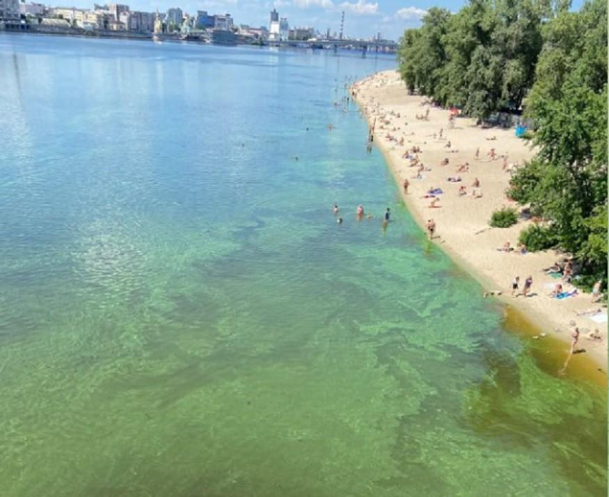 У Києві річка Дніпро знову позеленіла