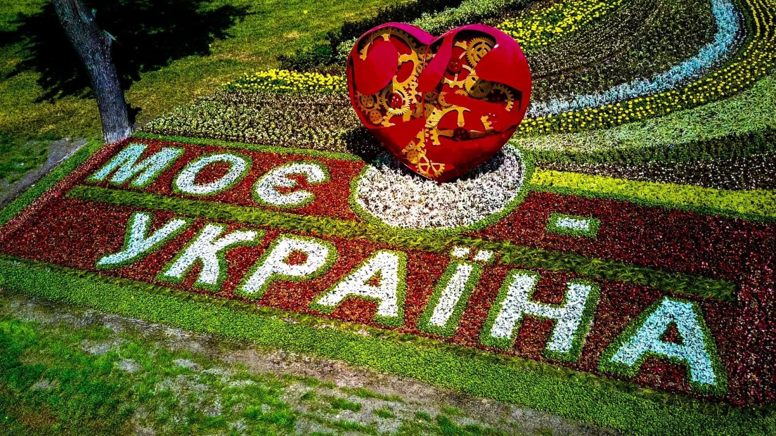 35 тисяч квітів і велике серце: на Святошині до Дня Незалежності створили патріотичну композицію