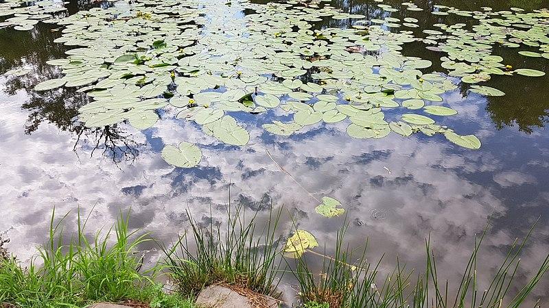 озеро хмари у води