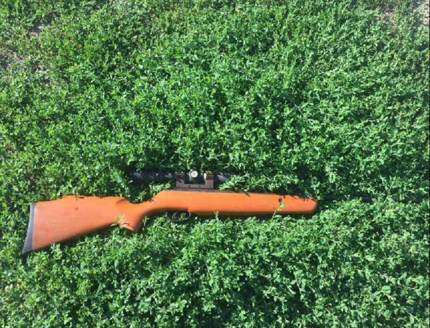 На Київщині чоловік стріляв з рушниці на вулиці та намагався сховатися від поліції в кущах
