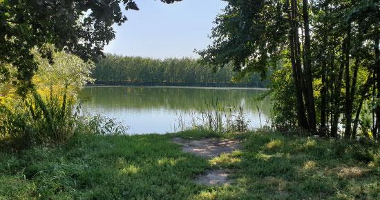 ділянки землі біля музею Пирогово