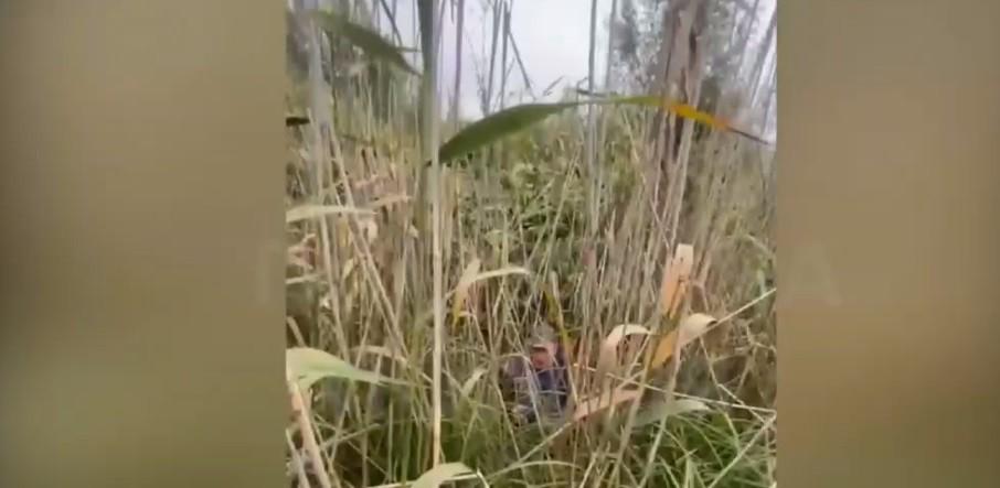 В Києві врятували 86-річного грибника, який потрапив у пастку (ВІДЕО)