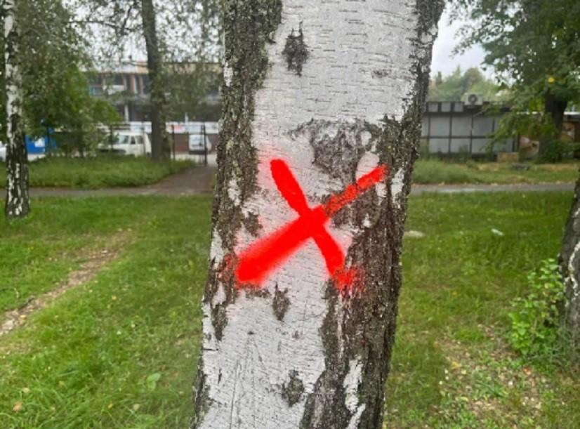У Білій Церкві закликали містян не замальовувати мітки на деревах
